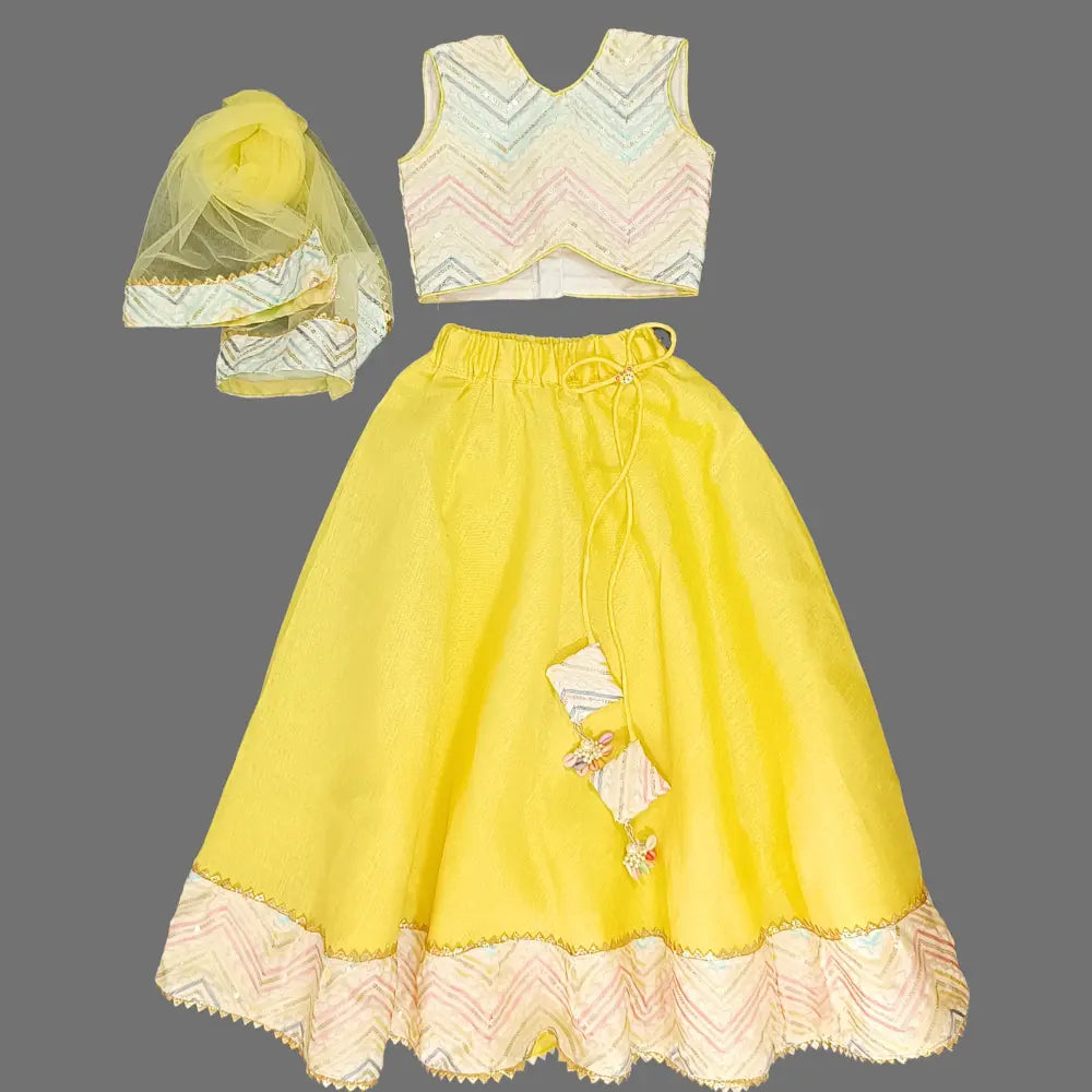 Multicolor Embroidered Crop Top And Yellow Lehenga With Dupatta