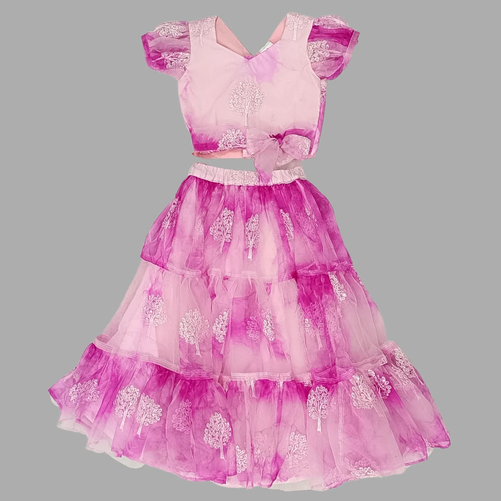 Pink Crop Top & Ruffle Layered Lehenga image 1
