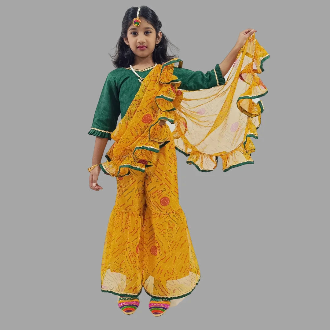 Ready To Wear Crop Top & Palazzo Saree For Girls image 0