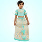 Multicolor Embroidered Lehenga And Aqua Blue Crop Top With Dupatta